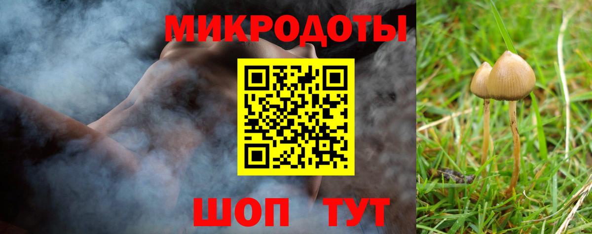 Галлюциногенные грибы Psilocybe Павлово