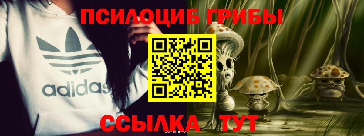 Павлово  Галлюциногенные грибы GOLDEN TEACHER  Вход с VPN 
